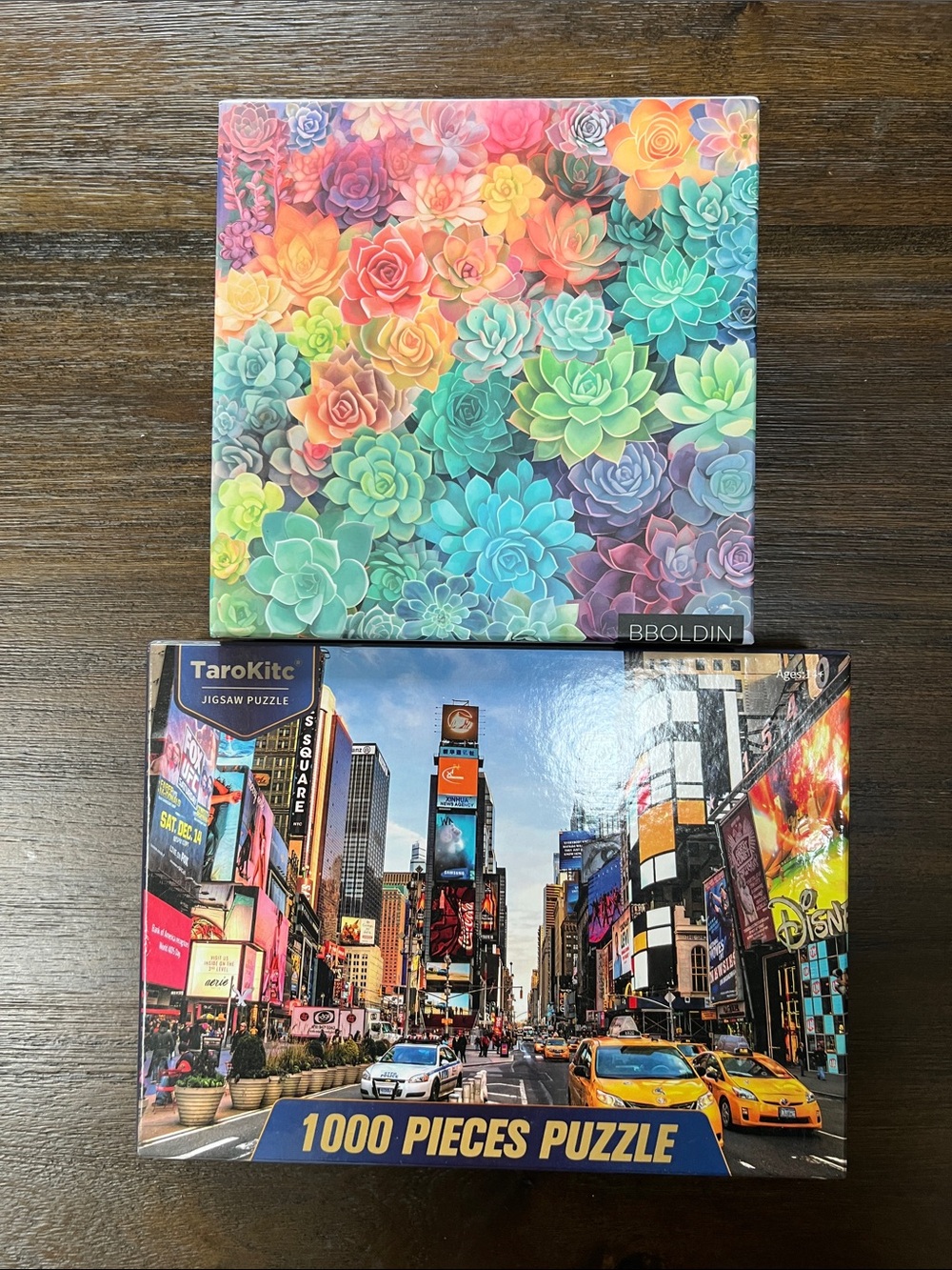 2 puzzles. Rainbow Colorful Succulent & City Street Puzzle Set